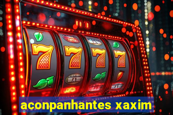 aconpanhantes xaxim